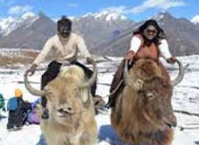 Manali Holiday Package