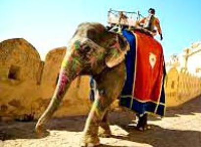  Rajasthan Cultural Tour