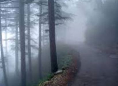 Chandigarh - Shimla - Manali - Chandigarh Honeymoon Package (4N5D)