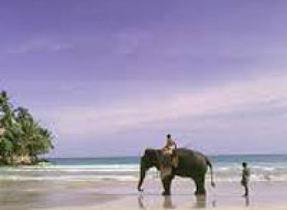 Srilanka Tour