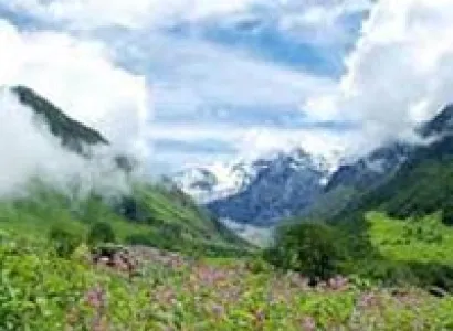 Shimla and Around Tour