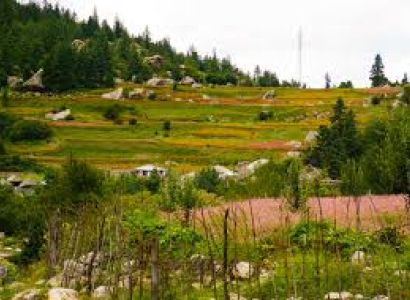 Klk/chd - Shimla - Kinnaur - Manali - Klk/chd (9 Nightt 10 Days)