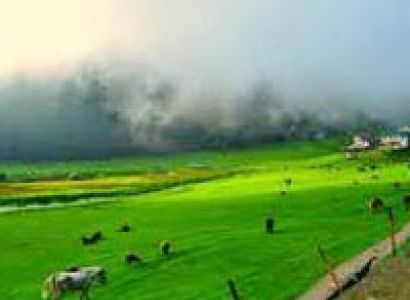 Himachal Sojourn Tour