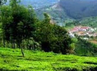 Wonderful Ranikhet Tour