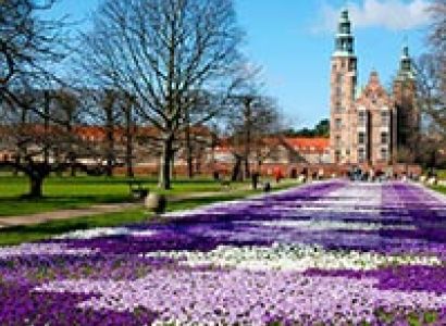 Focus on Scandinavia(6910)