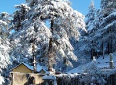 Shimla Short Escape Tour
