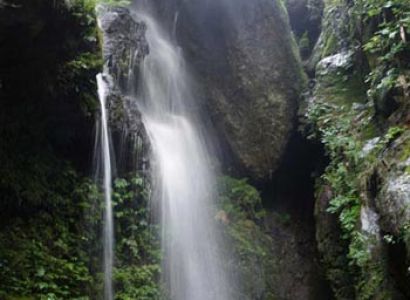 Jibhi & Tirthan Valley Weekend Trip Tour