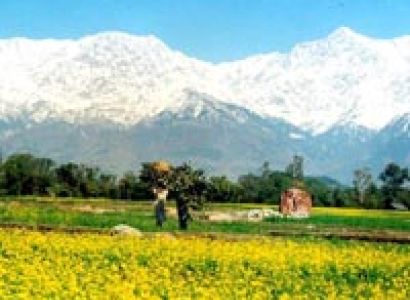 Chandigarh Shimla Manali Tour Package