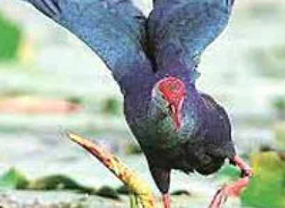 Punjab Nature and Eco Tour Package