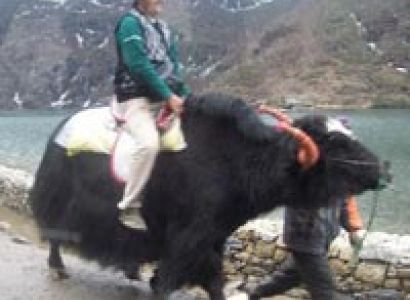 Off the Beaten Track