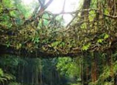 Beautiful Shillong with Guwahati Tour