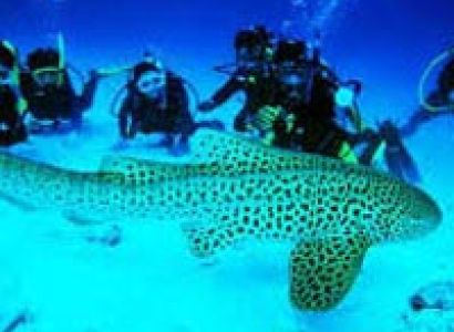 Now thats Andaman Tour