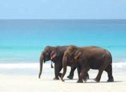 A Glimpse of Andamans Tour