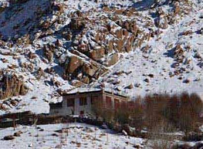 Snow Leopard Tour to Ladakh with Spituk Festival