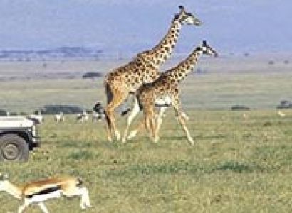 Trip To  Maasai Mara Naitonal Park