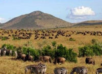 Amboseli National Park