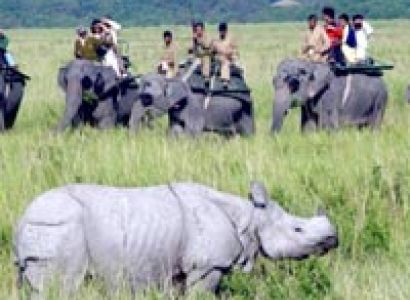 Kaziranga Tour Package