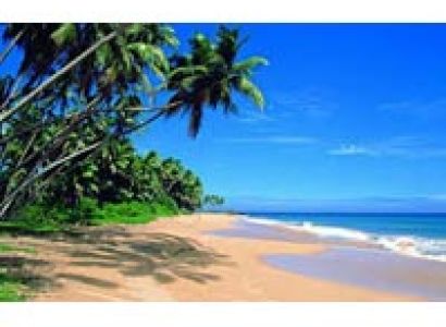 Srilankan Gateaway Tour
