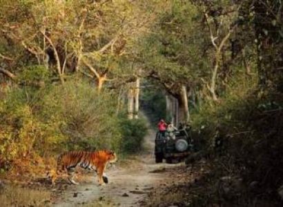 Club Mahindra - Jim Corbet Taxi Tour