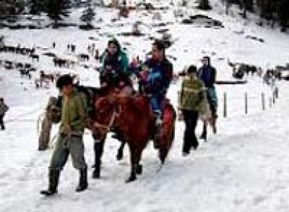 Shimla - Manali Honeymoon Package(5N/6D)