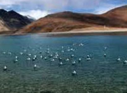 Ladakh With North India Culture Tour