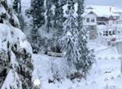 Shimla Short Escape Tour