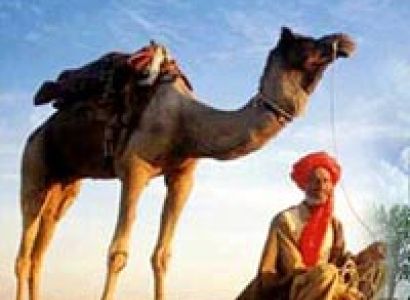 Golden Triangle Tour