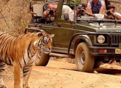 Golden Triangle Tour With Wildlife Tour