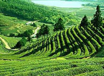 Mystical Flavors of North-East India (Summer Packages) (5N/6D) 