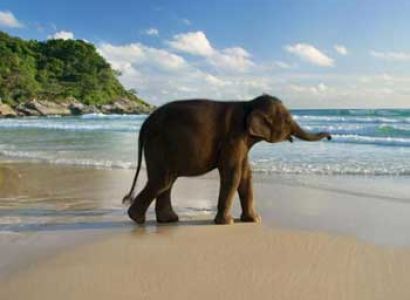 Port Blair With Havelock Tour