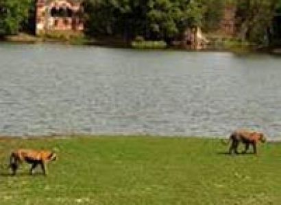 Ranthambhore Tour Package