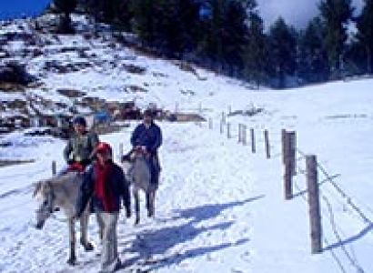 Chail - Kufri - Fagu - Shimla Tour