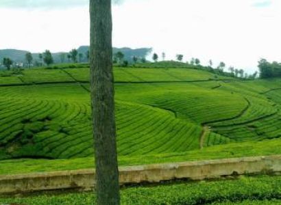 Southern Triangle Tour