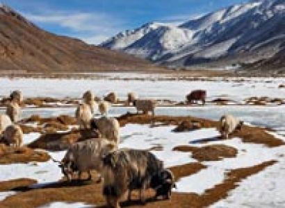 Adventurous Ladakh Tour