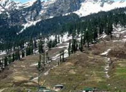Himachal Skiing Tour