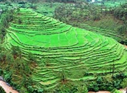 Kausani (2 Nights & 3 Days) Tour