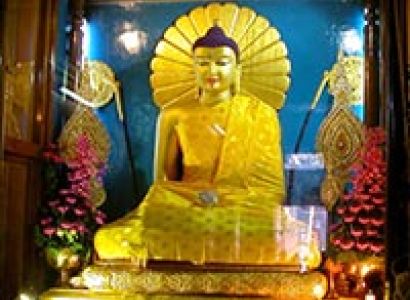 In the footsteps of Buddha Tour