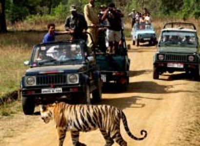 Delhi - Agra - Ranthambhore - Jaipur - Delhi Tour