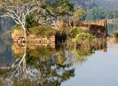 Splendiferous Sariska - Wildlife Tour