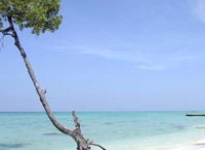 Mayabunder Tour Package