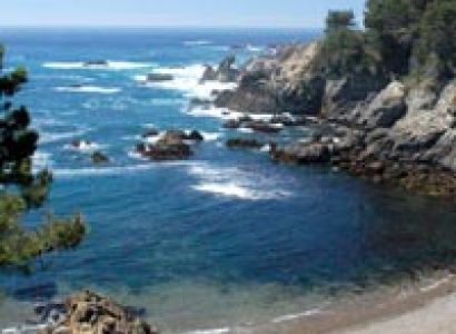 Best Cove Beach Tour