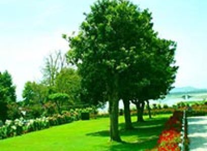 Vishno Devi Special Tour