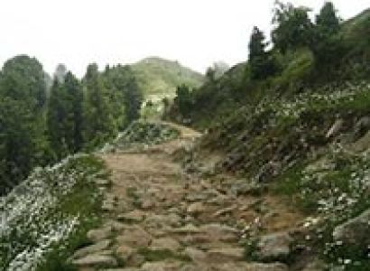 Amritsar - Dalhousie - Dharamsala - Palampur Tour