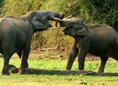 Explore Wayanad Tour