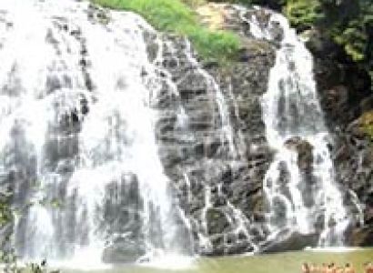 Tea, Sandelwood & Wildlife Tour