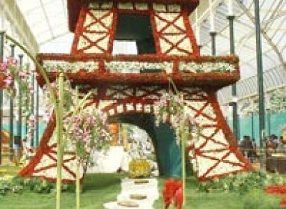 Amazing! South India Holiday Tour package for you