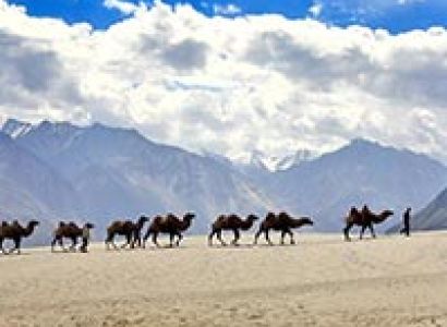 Ladakh with Nubra Valley Tour