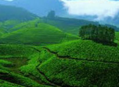 Kerala Tour Package