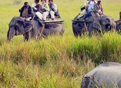 Kaziranga National Park Tour