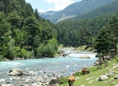 Discover Kashmir Tour